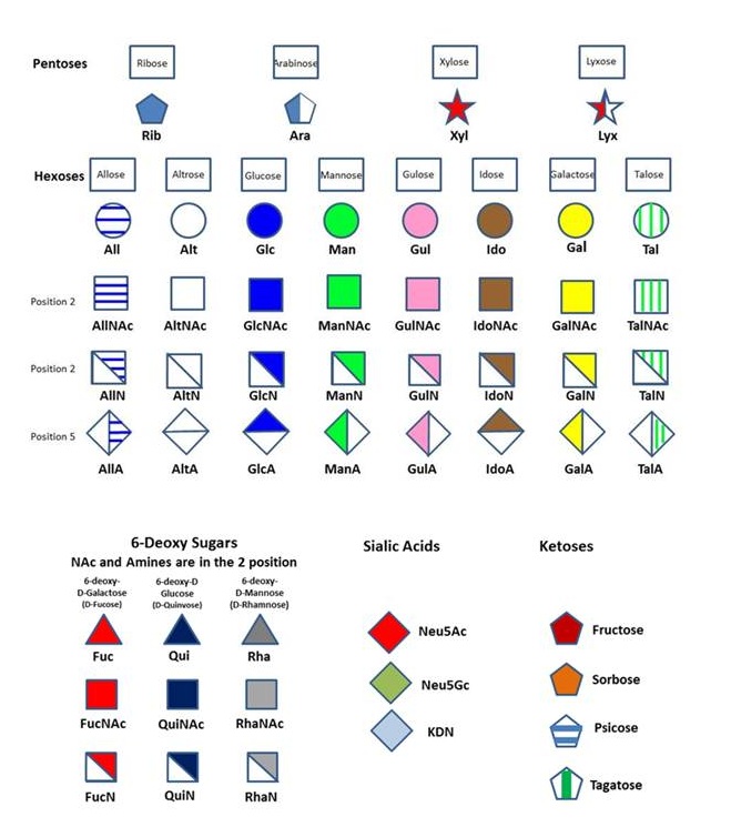 Nomenclature