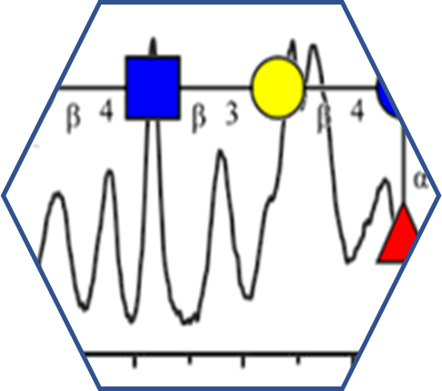 NMRcarb-DB