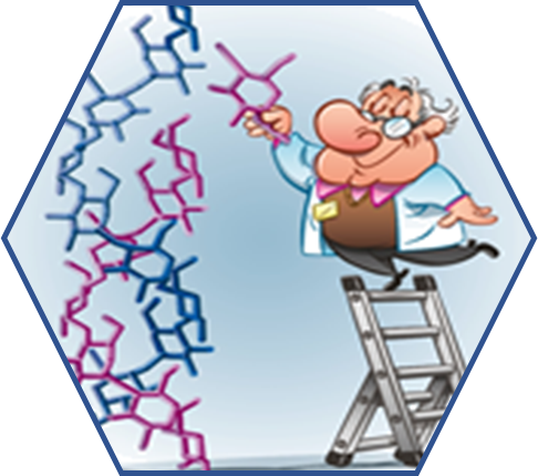 Polys-Glycan Builder