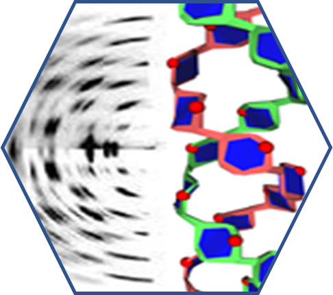 Polysac3-DB